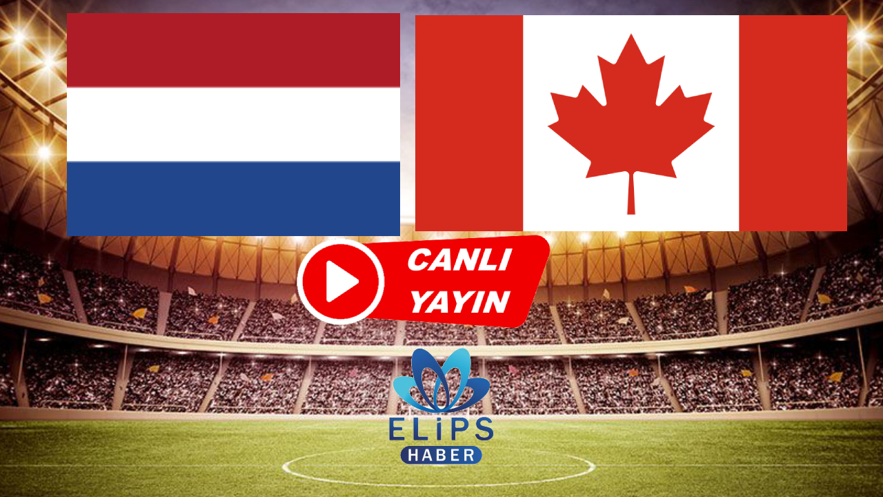 Selcuksports Hd Hollanda Kanada Ma Canl Izle Elips Haber