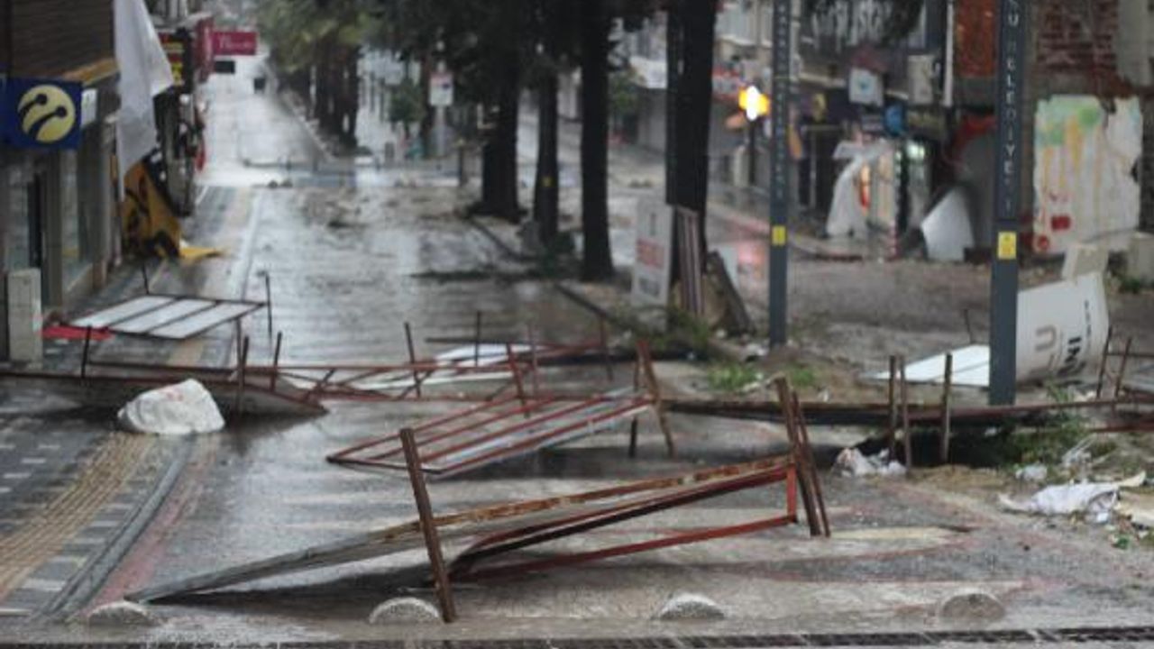Sakarya'da fırtına: Ağaçlar devrildi, çatılar uçtu