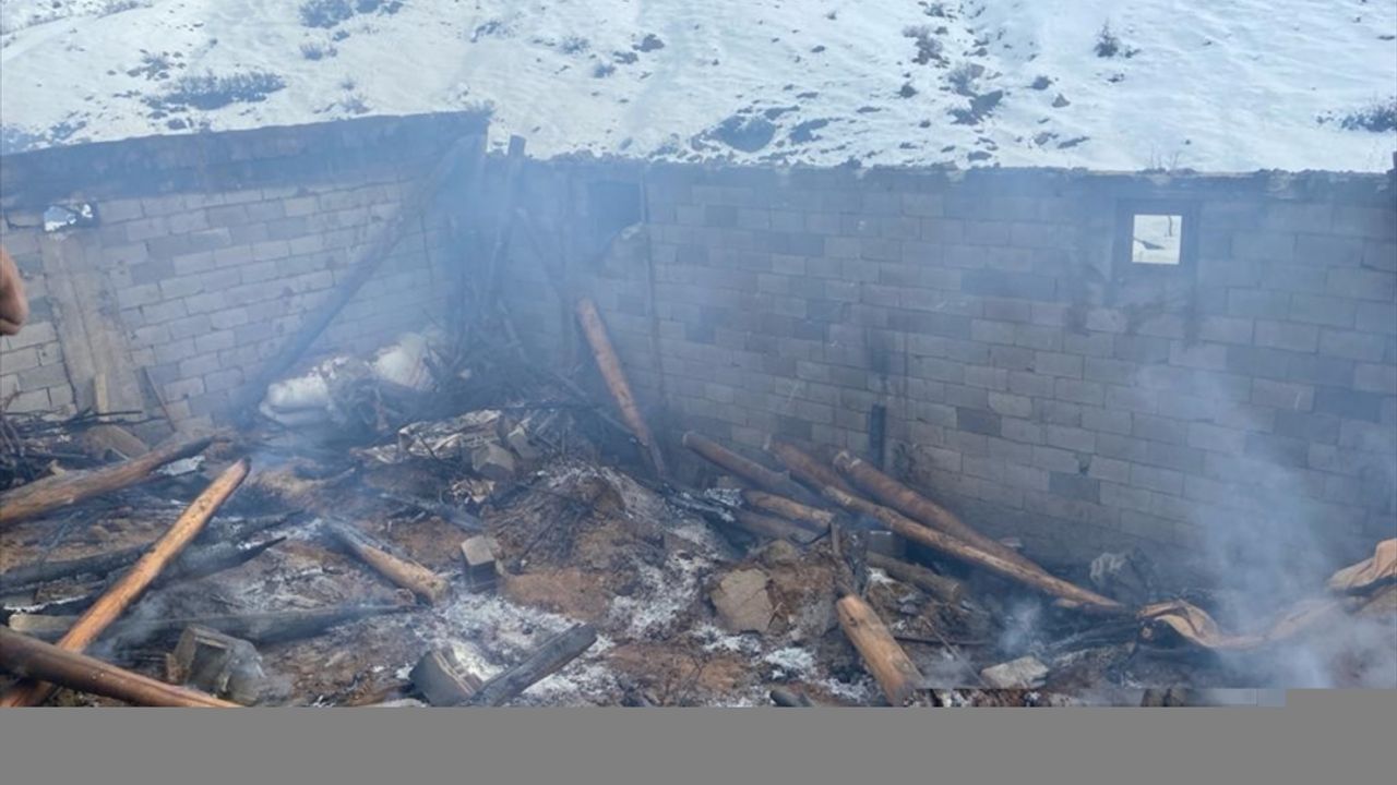 Bitlis'te ahırda çıkan yangında 115 küçükbaş hayvan telef oldu