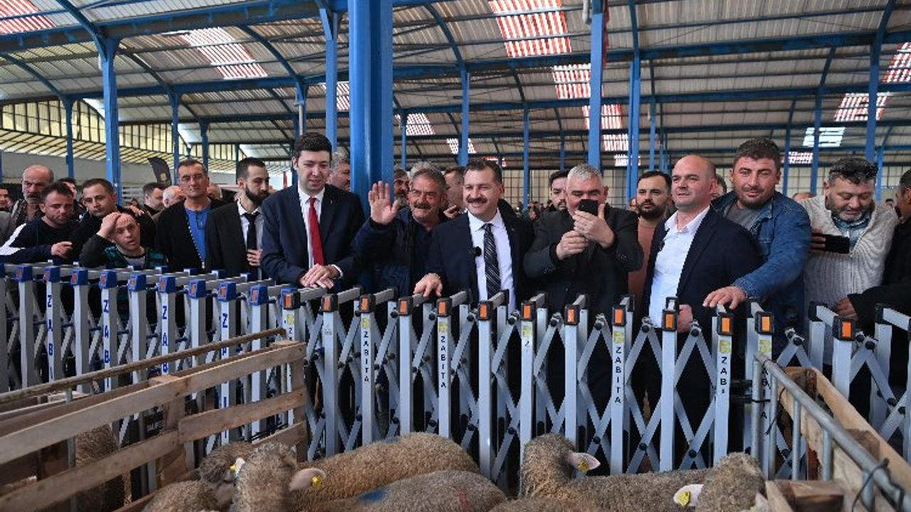 Balıkesir Büyükşehir Belediyesi'nden hayvancılığa büyük destek