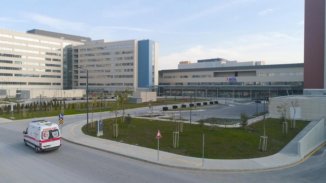 Ankara'da 'deli dana hastalığı' alarmı: Şehir hastanesinden açıklama!