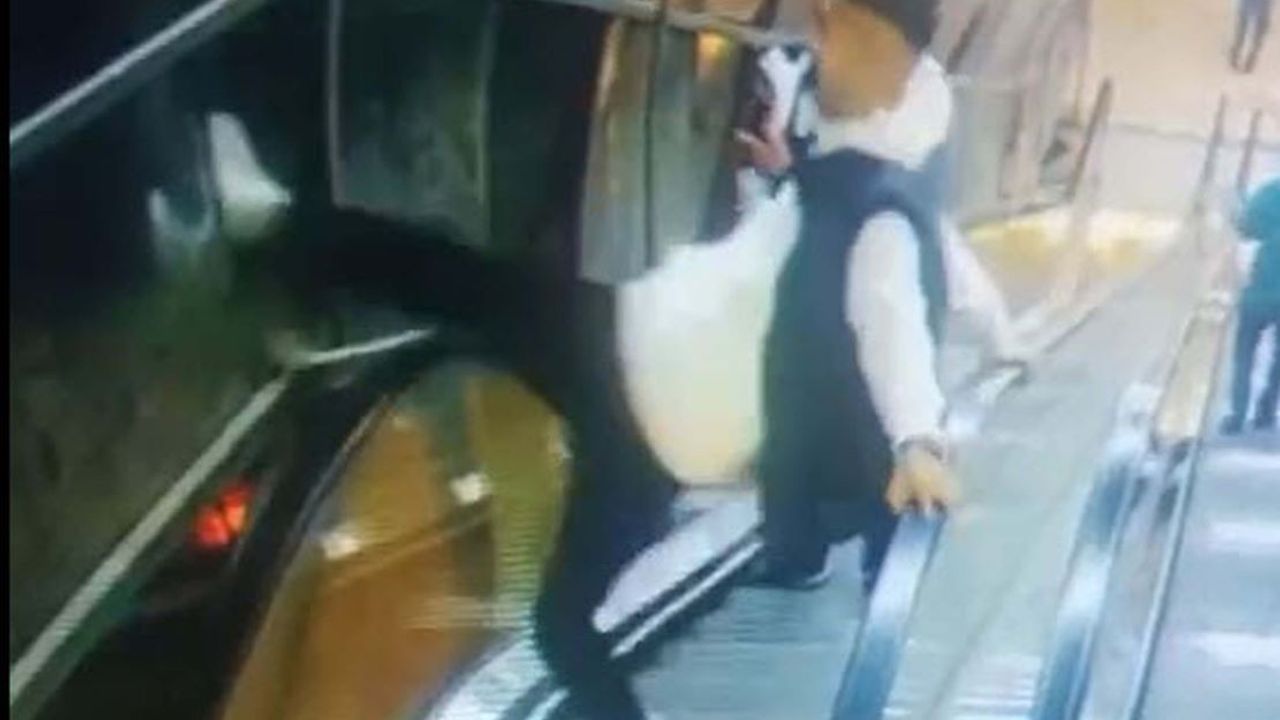 Yaya üst geçidinin korkuluklarına tekme ve yumruklu saldırı