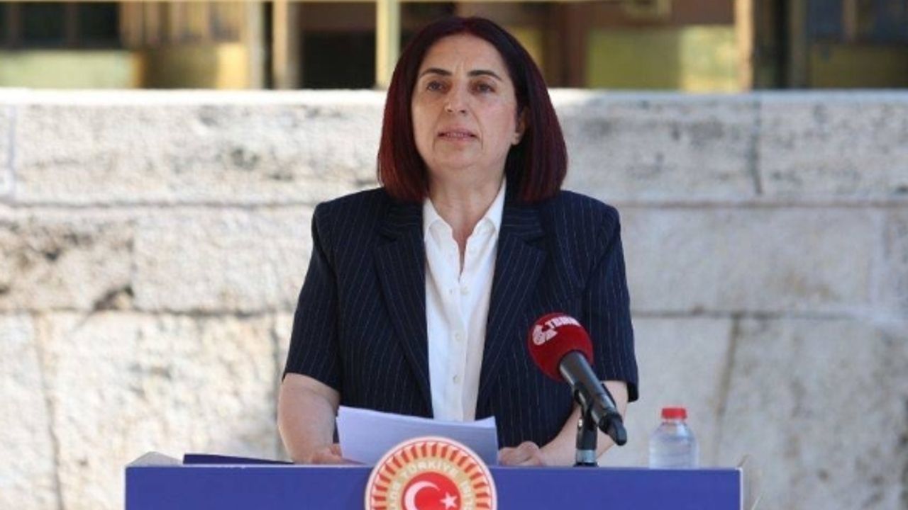 DEM Parti Milletvekili Çelenk’ten Devlet Tiyatroları için araştırma önergesi