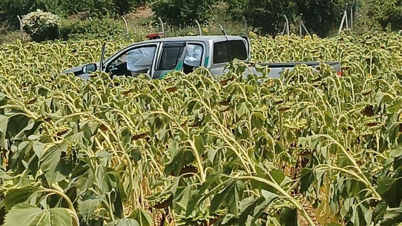 Orman İşletme Müdürlüğü'ne ait kamyonet ile otomobil çarpıştı: 1 ölü, 5 yaralı