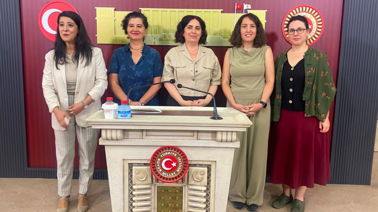 DEM Partili Çelenk, vakıf üniversitelerindeki işten çıkarmaları Meclis gündemine taşıdı