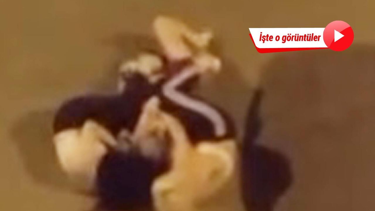 Iğdır’da kadınların saç saça kavgası kamerada!