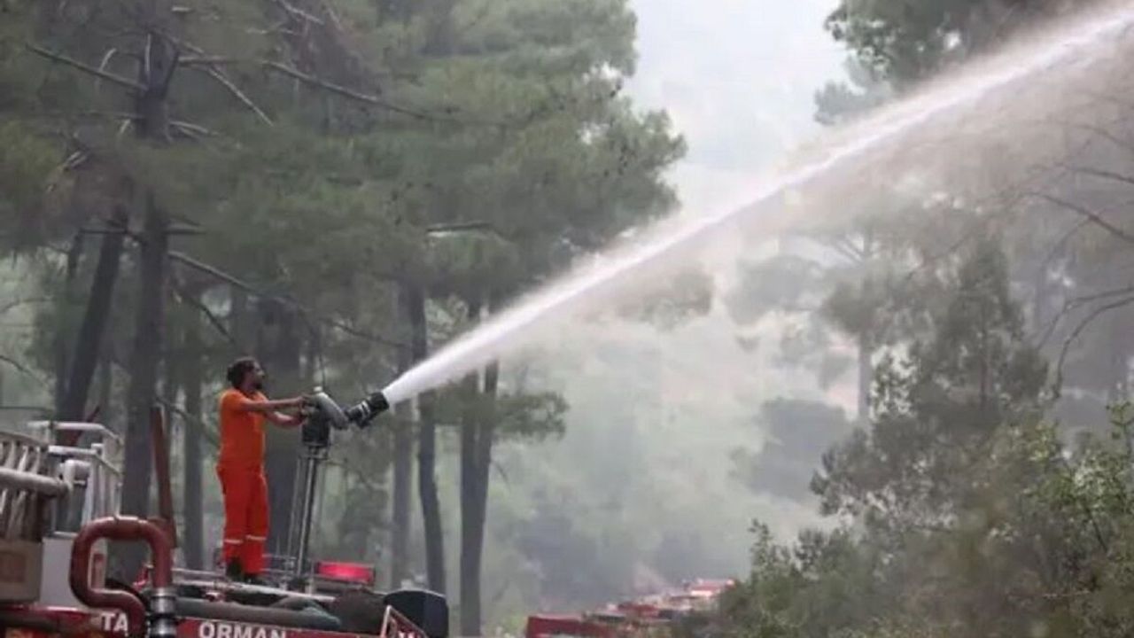 Orman yangınına havadan ve karadan yoğun müdahale