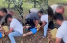 9 yaşındaki kızına cinsel istismarda bulundu, video paylaştı, gözaltına alındı
