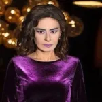 Yıldız Tilbe'nin konserde yardım etmek isteyen görevliyi itti