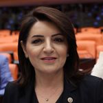 CHP’li Kış’tan Girne-Taşucu faciası açıklaması