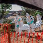 Kongo'da Ebola salgını: Can kaybı artıyor
