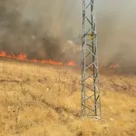 Diyarbakır'da örtü yangını ormana sıçradı