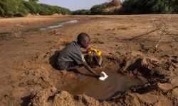 Afrika’da 36 milyon insan temel gıdadan yoksun