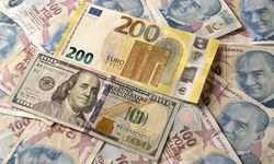 Merkez Bankası'nın faiz kararının ardından dolar ve euro ne kadar oldu?
