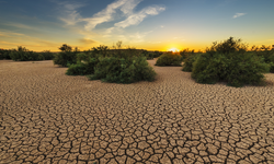 Su kıtlığı dünya nüfusunun yüzde 40'ından fazlasını etkiliyor