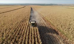 TÜİK açıkladı: Tarım ÜFE nisan ayında arttı