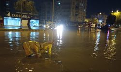 Kuvvetli yağış Mersin'i de vurdu