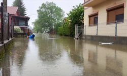 Bosna Hersek'te şiddetli yağış etkili oldu: Çok sayıda ev ve  işyerini su bastı