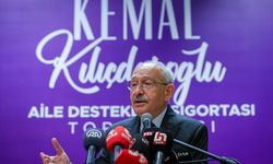 BTK'dan ikinci engelleme: Kılıçdaroğlu engellenen çiftçi mesajını paylaştı