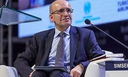 Mehmet Şimşek kimdir?