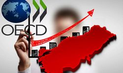 OECD Türkiye için büyüme tahminini yükseltti