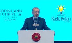 Cumhurbaşkanı Erdoğan’dan sığınmacı açıklaması: Boraltan Köprüsü Faciası gibi facia yaşatmayacağız