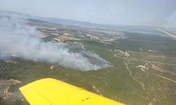 İzmir'de orman yangını kontrol altına alındı