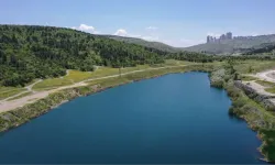 Ankara’da yağan yağmurlar sonucunda başkent yeşile boyandı