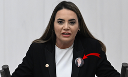 Ayyüce Türkeş, Alparslan Türkeş'in kabrinde saldırıya uğradı
