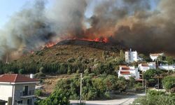 Datça'da ormanlık alanda yangın çıktı