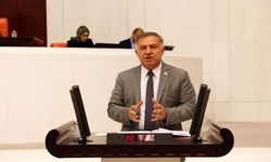 Gökhan Zeybek milletvekili yeminini etti, Gökhan Zeybek kimdir, nereli, hangi partiden?