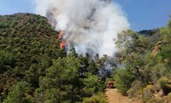 Marmaris'te orman yangını: Hava ve karadan müdahale sürüyor