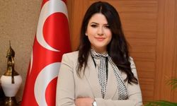 Pelin Yılık  milletvekili yeminini etti, Pelin Yılık  kimdir, nereli, hangi partiden?