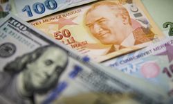 Türk Lirası erimeye devam ediyor: Dolar karşısında yüzde 30 değer kaybetti