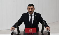 Yüksel Selçuk Türkoğlu milletvekili yeminini etti, Yüksel Selçuk Türkoğlu kimdir, nereli, hangi partiden?