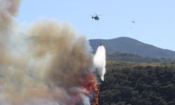 Hatay'daki orman yangınına müdahale sürüyor: Vali Masatlı'dan açıklama geldi