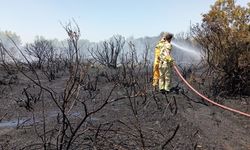 Manavgat'ta çıkan orman yangını kontrol altına alındı