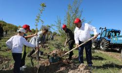 Kayseri Talas'tan 'yeşil' seferberlik