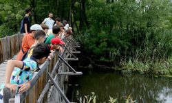 Sakarya'da 120 genç doğaya yakın temas kurdu