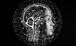 Bilim insanları uyardı: Beyninizde virüs taşıyor olabilirsiniz!