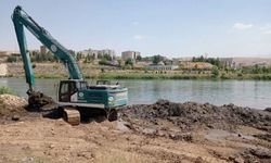 Dicle Nehri'nde canlıların yaşam alanı yok ediliyor: Birçok kuş türünün yaşadığı çalılıklar söküldü