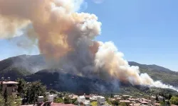 Hatay, Adana ve Çanakkale’deki orman yangınlarına müdahale sürüyor