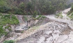 Endonezya'da toprak kayması: 14 kişi hayatını kaybetti