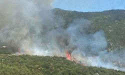 Antalya'nın Kaş ilçesindeki orman yangını kontrol altına alındı