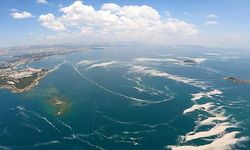 Marmara Denizi’nde su sıcaklığı 50 yılda 2.5 derece arttı