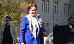 Meral Akşener'in açtığı davada Fuat Uğur'a beraat