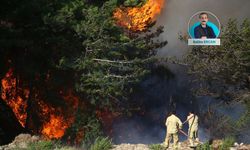 Milletvekilleri birbiri ardına çıkan yangınların izini sürüyor