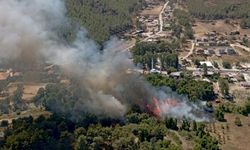 Muğla'da tarım alanlarında çıkan yangınlar söndürüldü