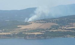 Bodrum'da makilik ve otluk alanda çıkan yangın söndürüldü