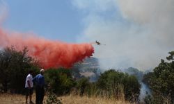 Çanakkale'de çıkan yangın tarım arazisine zarar verdi